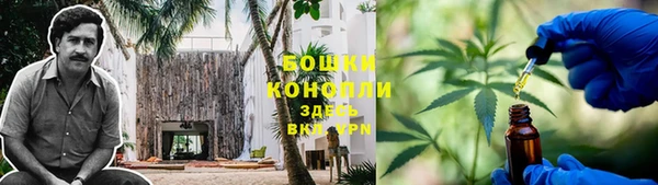 дурь Краснослободск