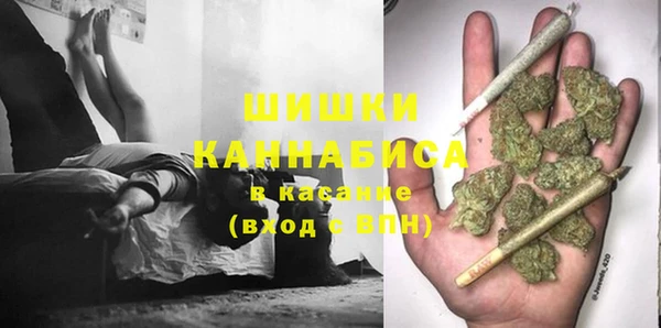крисы Красноперекопск