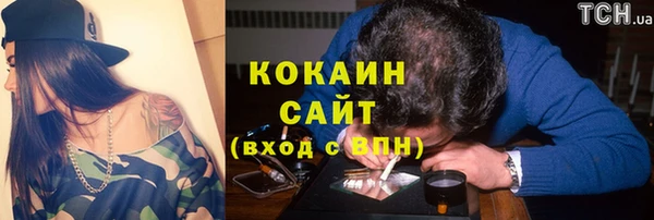 дурь Краснослободск