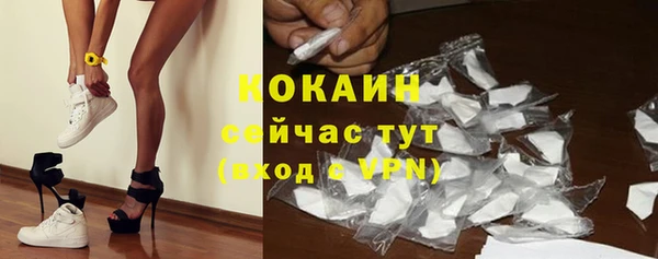 дурь Краснослободск