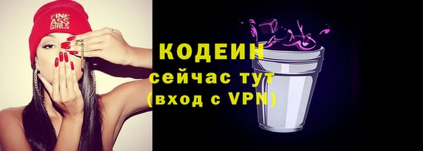 дурь Краснослободск