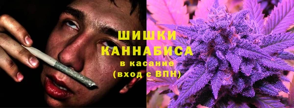 дурь Краснослободск