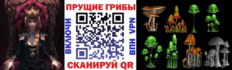 Галлюциногенные грибы GOLDEN TEACHER  Няндома 